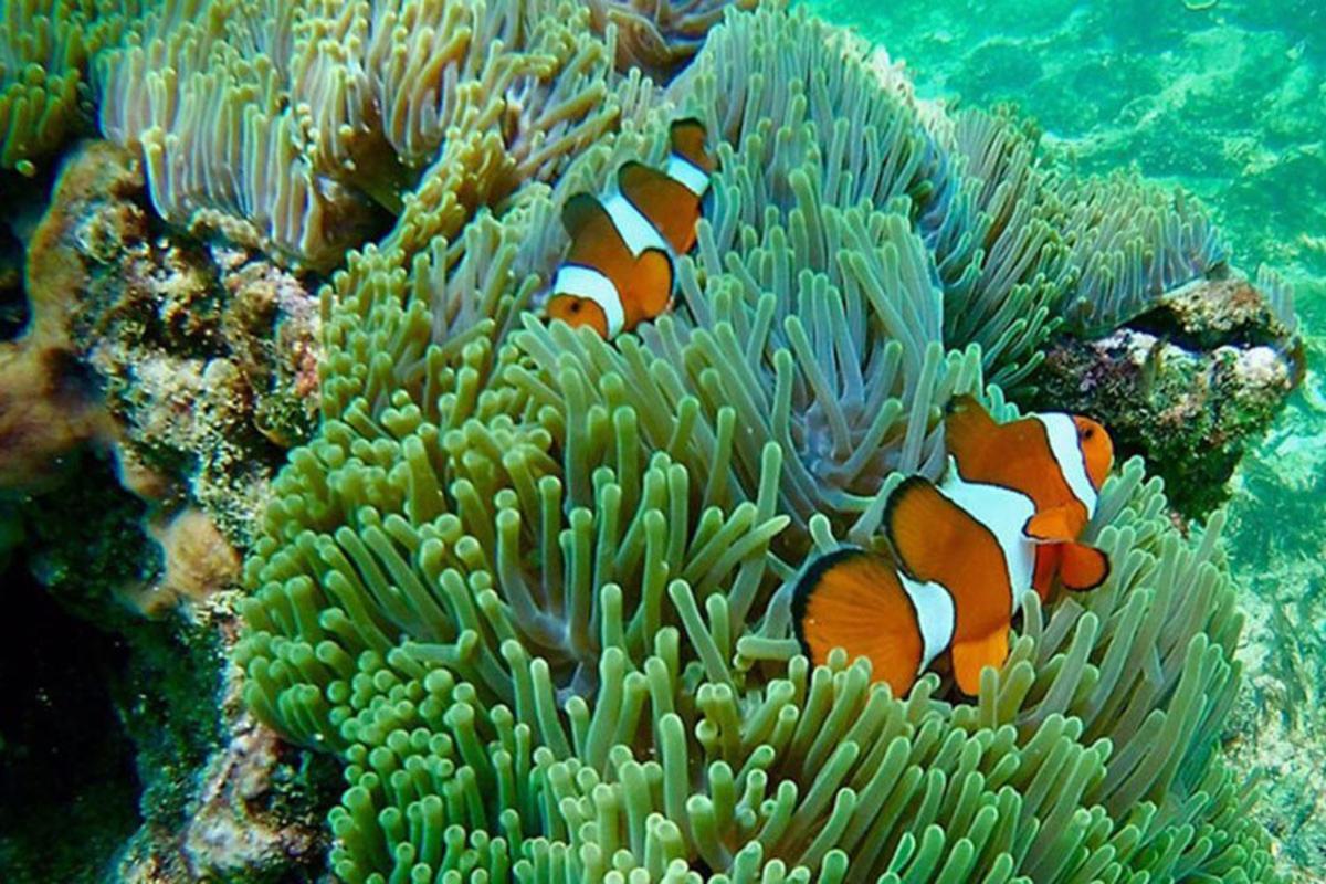 Krabi Grand Hotel المظهر الخارجي الصورة